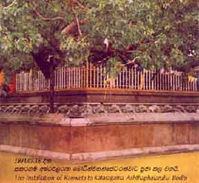 Ashtaphalaruha Bodhi Tree (19kb)