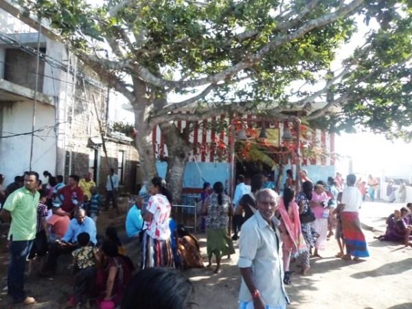 Kathirgama Kandan pilgrims climb Katiraimalai