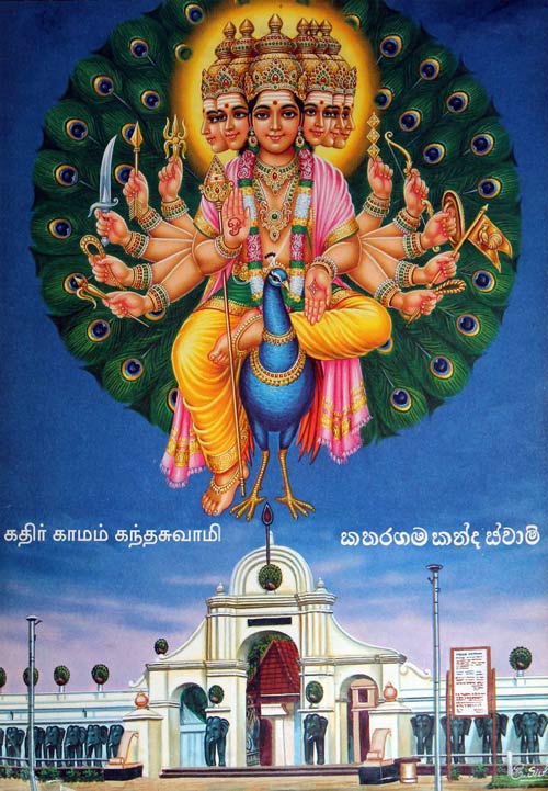 Muhunu sayaki  ath dolasaki  Mayura pita vāhane says the popular Sinhala verse, describing the Kataragama Deviyo, or Lord Kataragama, as having six faces and twelve hands, mounted atop his vehicle  the peacock.
